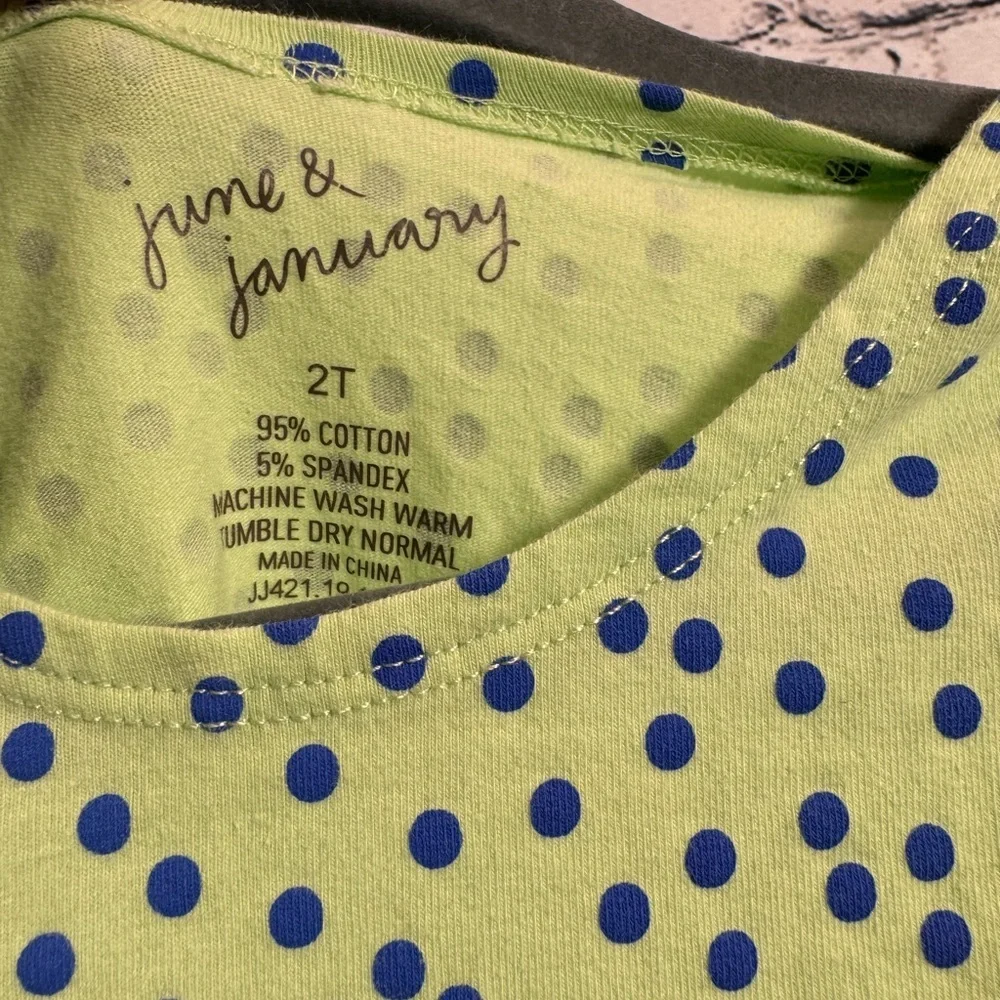June & January Twirl Dress 2t